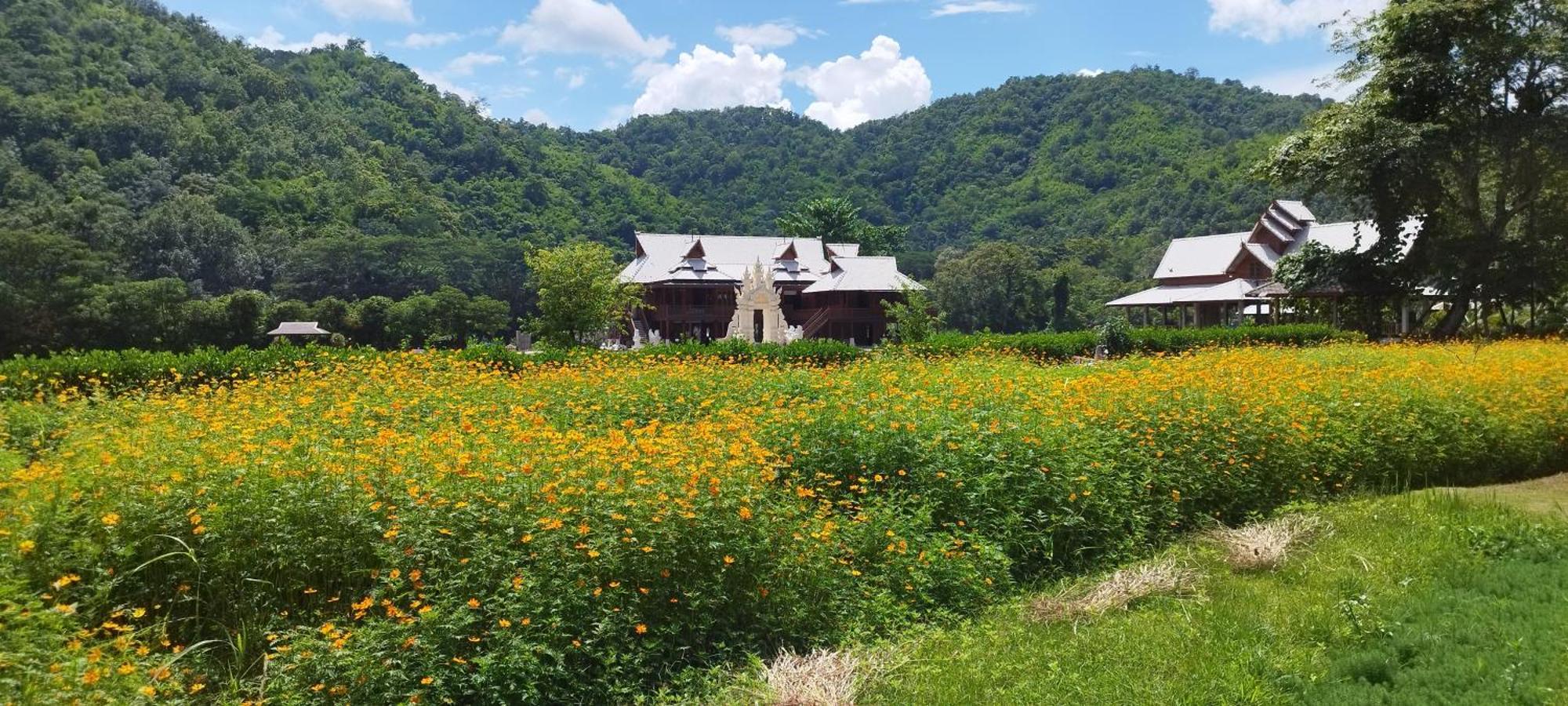 La Villa De Madame Su Чиангмай Екстериор снимка